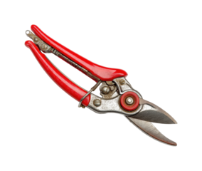 Pruning action with garden shears backyard tool natural