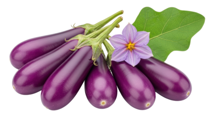 Isolated Eggplant