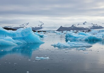 Icebergs floating in glacial lagoon with snow covered mountains under an overcast sky view scene