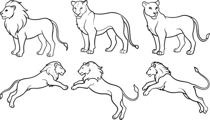 Lion Head Line Art Vector