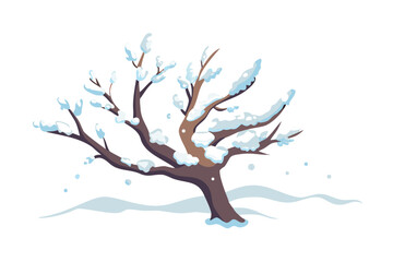 Fototapeta premium Bare winter tree with snow covered branches isolated on transparent background