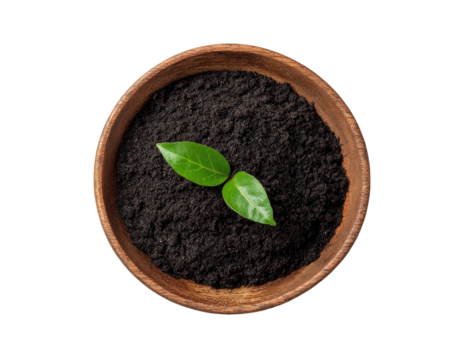 Fresh soil in wooden bowl, two young leaves