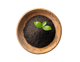 Dark soil in wooden bowl, sprout on top