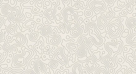 Obraz premium An abstract topographic map pattern with intricate contour lines