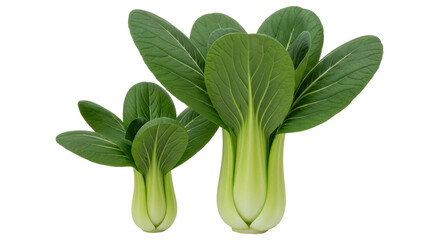 Isolated Bok Choy