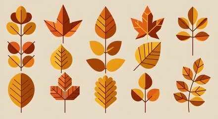 Obraz premium Different leaf graphic