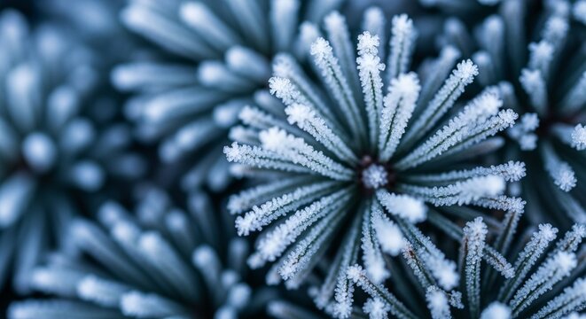 frost on leaves - Powered by Adobe