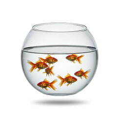 Fishbowl Floating Mid-Air With Goldfish Swimming Inside Isolated Over Clean White Background