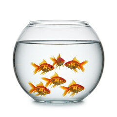 Fishbowl Floating Mid-Air With Goldfish Swimming Inside Isolated Over Clean White Background