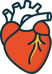 Stylized Human Heart Illustration with Orange and Blue Coloring on White Background