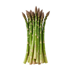 Fresh green asparagus stalks arranged in a bunch isolated on transparent background