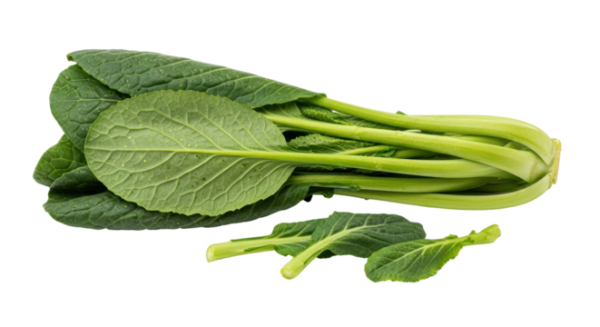 Isolated Bunch of Choy Sum