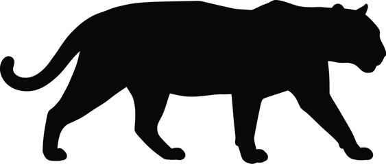 Black panther silhouette walking