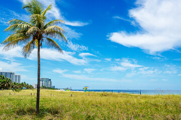 Pompano Beach, Florida with city and palm tree