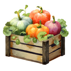 Watercolor illustration of colorful pumpkins in a rustic wooden crate with green leaves, isolated on white background.

