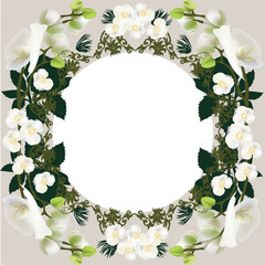 circle frame decorated by light orchid flowers isolated on white background