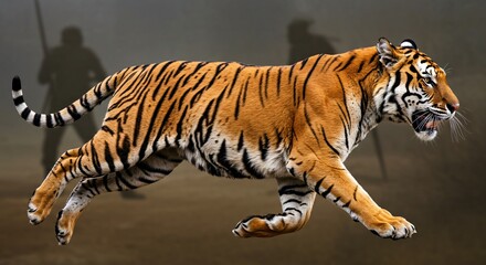 international tiger day
