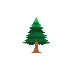 Cedar tree icon on white background