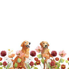 Seamless Watercolor Golden Retrievers Border with Autumn Flowers on transparent background