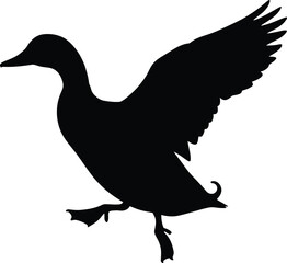 Black duck silhouette flying