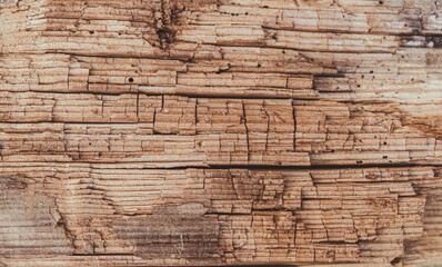 Macro Texture of Old Weathered and Cracked Wood Grain
