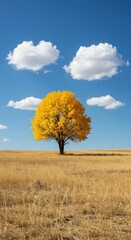 A solitary tree with vibrant yellow autumn foliage stands in a golden field under a bright blue sky with fluffy white clouds