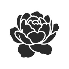 Stylized black and white peony flower silhouette on white background