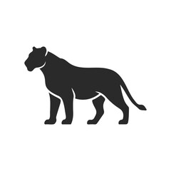 Fototapeta premium Silhouette of a lioness walking with grace
