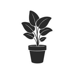 Obraz premium Silhouette of potted plant with dark leaves on white background