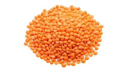 Isolated Pile of Red Lentils