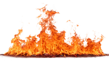 Vibrant orange and yellow flames erupting upwards against a stark black background