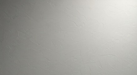 Subtle Gray Venetian Plaster Wall with a Dramatic Diagonal Light Gradient