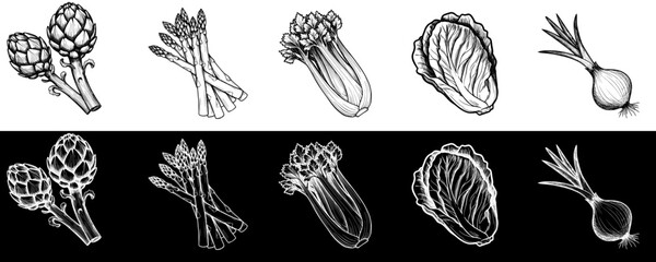 Isolated vector image of artichoke, asparagus, celery, lettuce, onion two design variants on transparent and black background, pencil drawing, chalk drawing, collection, set, seamless border
  