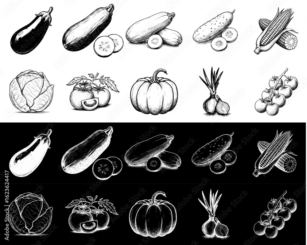 Aufkleber isolated vector image of various vegetables, two design variants on transparent and black background