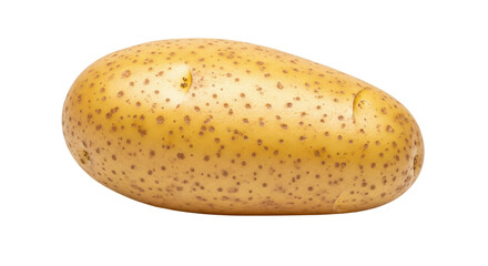 Isolated Fresh Potato