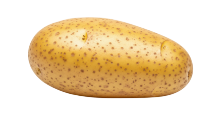 Isolated Fresh Potato