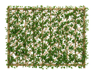 Transform your space with this lush ivy trellis panel perfect for adding privacy and natural beauty to any indoor or outdoor setting with a touch of greenery