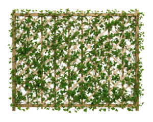Transform your space with this lush ivy trellis panel perfect for adding privacy and natural beauty to any indoor or outdoor setting with a touch of greenery