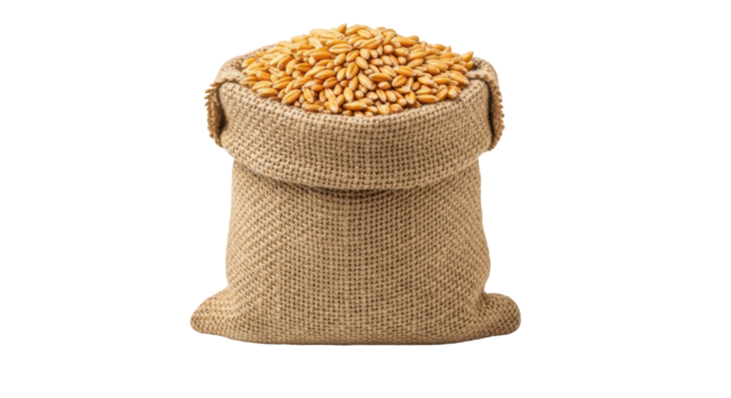Isolated Bag of Wheat Grain