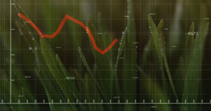 Red jagged line chart overlaying dewy grass at dawn, showing grid, axis ticks, numeric annotations