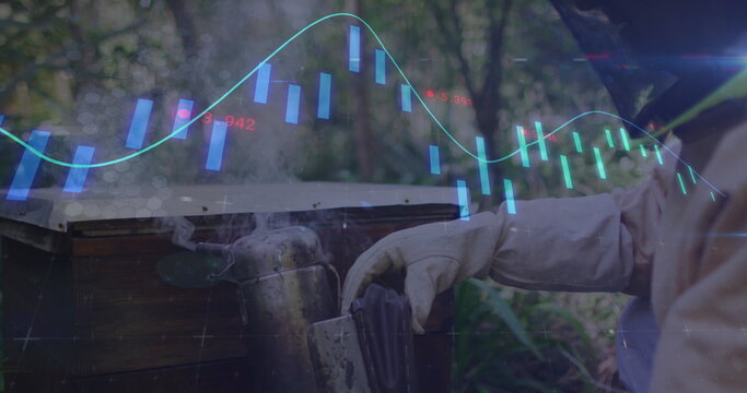Beekeeper in gloves holding smoker, opening hive in forest clearing, with chart overlay, copy space - Powered by Adobe