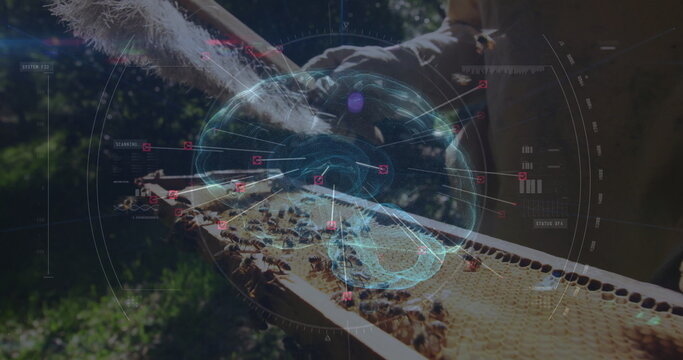 Examining beekeeper wearing gloves holding honeycomb frame with bees at apiary, with HUD analysis - Powered by Adobe