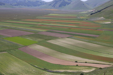 aerial view of rural landscape