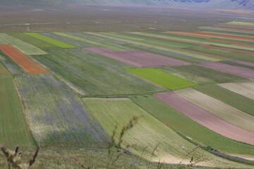 aerial view of rural landscape