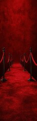 Red Carpet Entrance, Velvet Rope