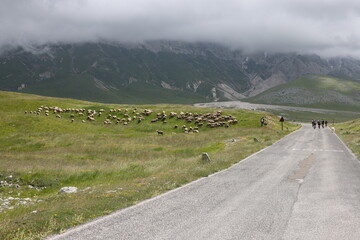 road in the mountains