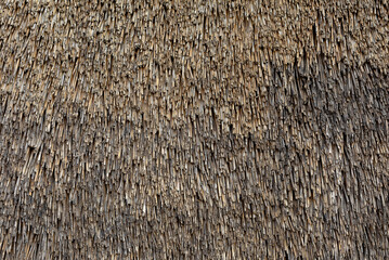 Natural texture of thatched reed roof. Traditional ecological material for decoration and design
