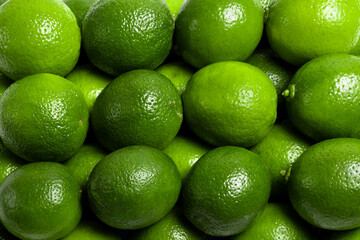 Background of bright green limes. Freshness, juiciness and natural texture of citrus fruits