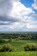 Vineyards and Village in the Palatinate Wine Region under a Cloudy Sky