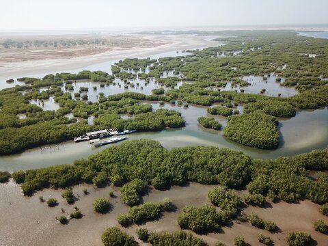 Vue a&eacute;rienne des canaux et des mangroves du Sine Saloum - S&eacute;n&eacute;gal 